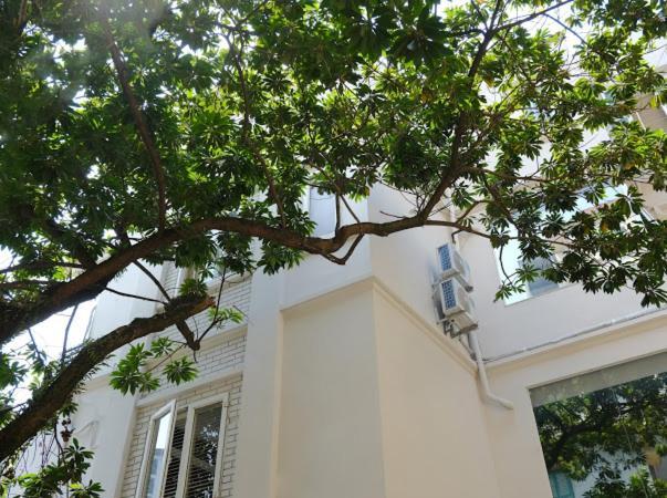 Le Petit Hanoi Hanói Exterior foto